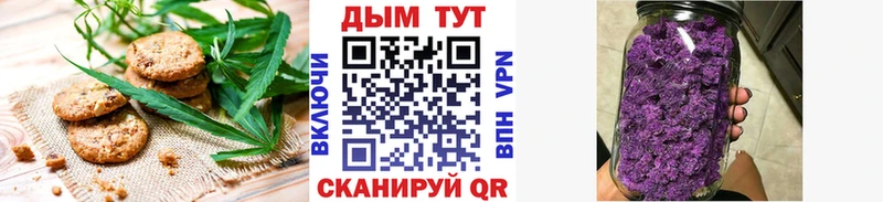 как найти наркотики  блэк спрут зеркало  Cannafood конопля  Ковров 
