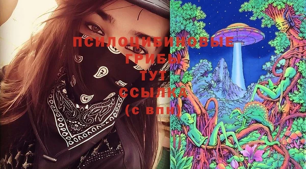 прущие грибы Алексеевка