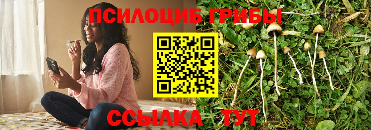 Галлюциногенные грибы Magic Shrooms Ковров